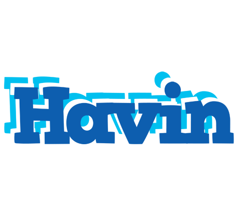 Havin business logo