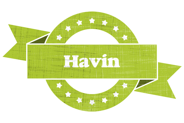 Havin change logo