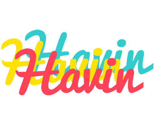 Havin disco logo
