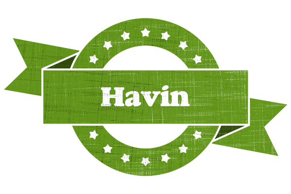 Havin natural logo