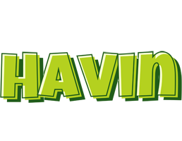 Havin summer logo