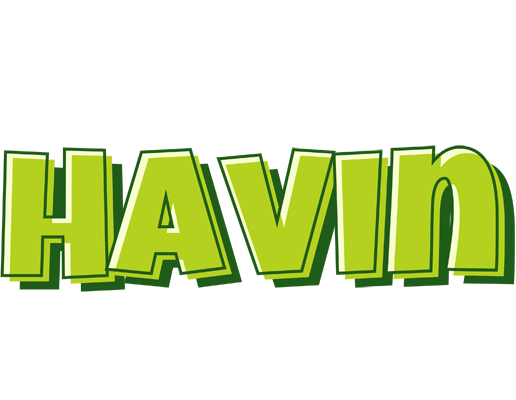 Havin summer logo