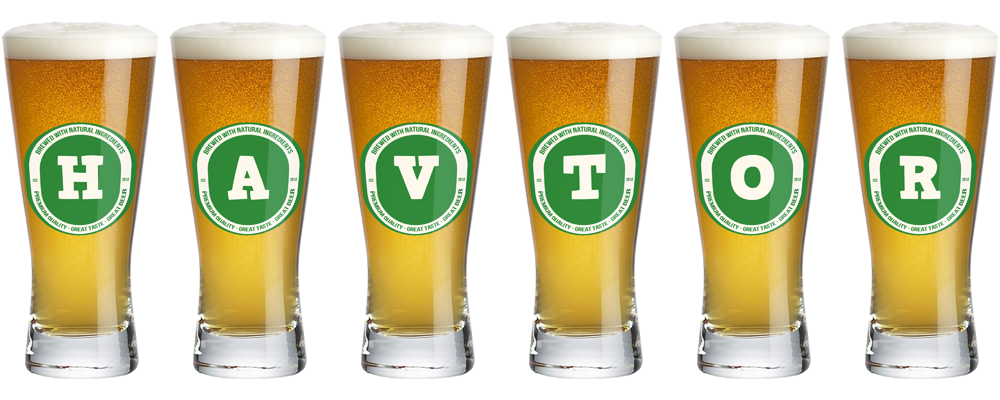 Havtor lager logo