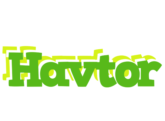 Havtor picnic logo
