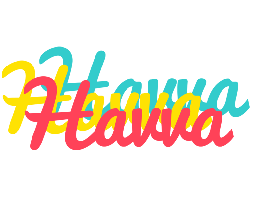 Havva disco logo