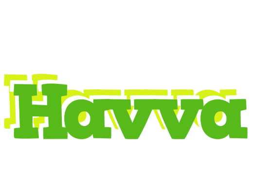 Havva picnic logo