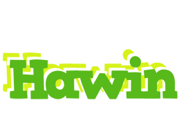 Hawin picnic logo