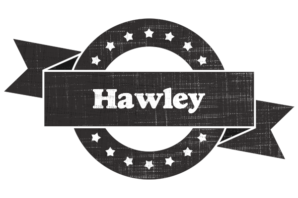 Hawley grunge logo