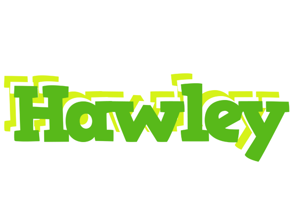 Hawley picnic logo