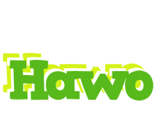 Hawo picnic logo