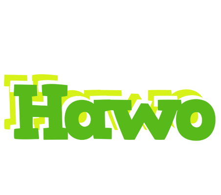 Hawo picnic logo