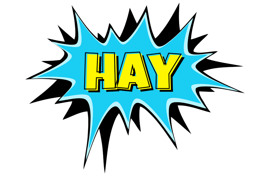 Hay amazing logo