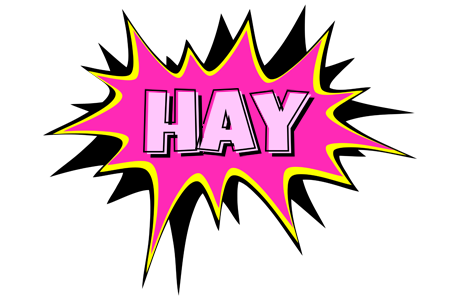 Hay badabing logo