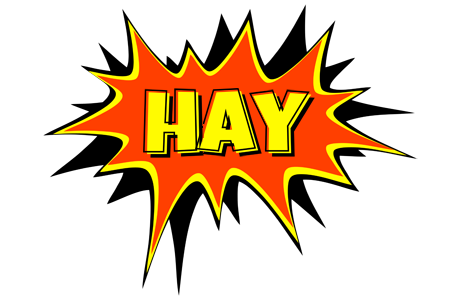 Hay bazinga logo