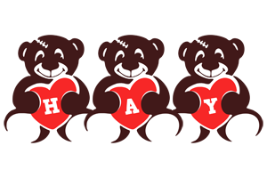 Hay bear logo