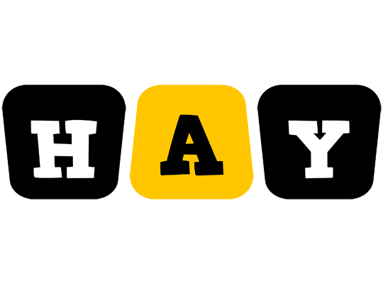 Hay boots logo