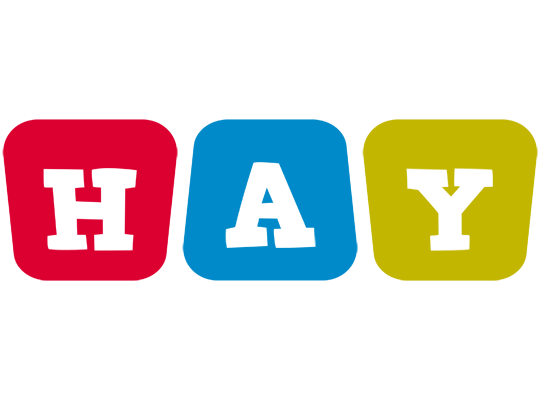 Hay daycare logo