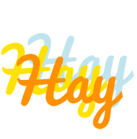 Hay energy logo