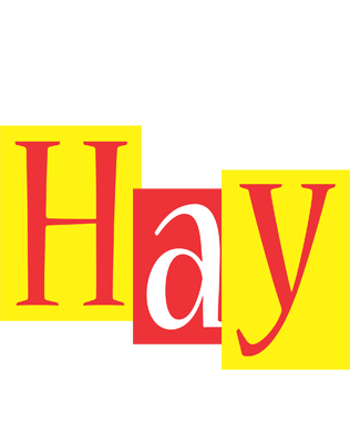 Hay errors logo