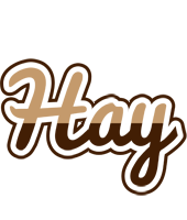 Hay exclusive logo