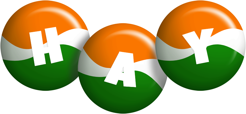 Hay india logo