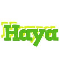 Haya picnic logo