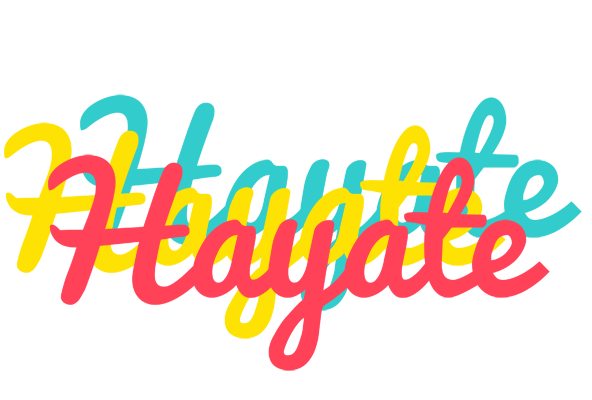 Hayate disco logo