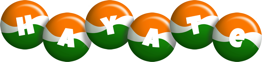 Hayate india logo