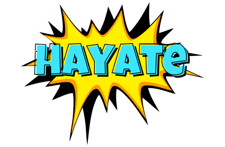 Hayate indycar logo