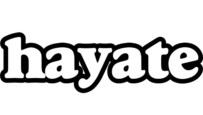 Hayate panda logo