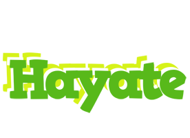 Hayate picnic logo