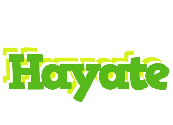 Hayate picnic logo