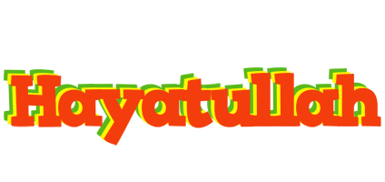 Hayatullah bbq logo
