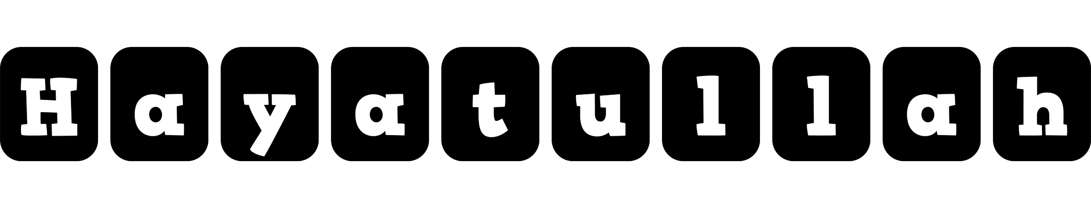 Hayatullah box logo