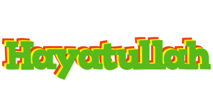 Hayatullah crocodile logo