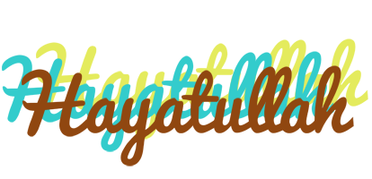 Hayatullah cupcake logo