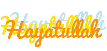 Hayatullah energy logo