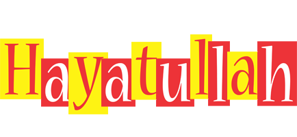 Hayatullah errors logo