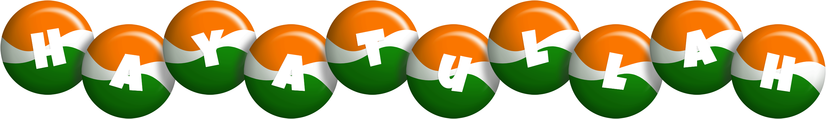 Hayatullah india logo
