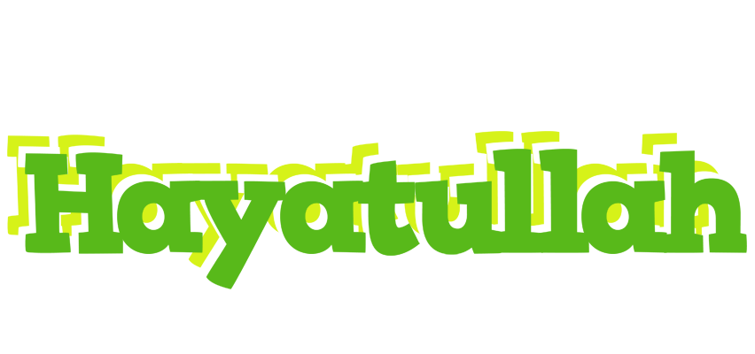 Hayatullah picnic logo