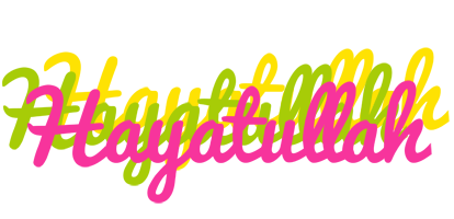 Hayatullah sweets logo