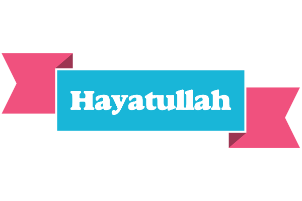 Hayatullah today logo