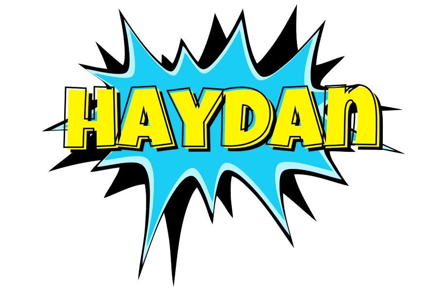 Haydan amazing logo