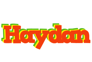 Haydan bbq logo