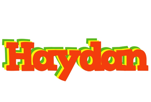 Haydan bbq logo