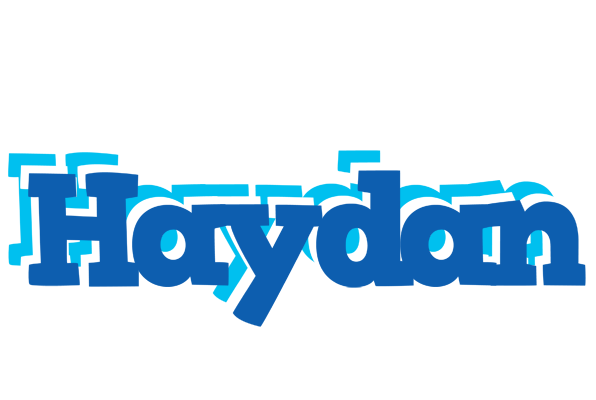 Haydan business logo