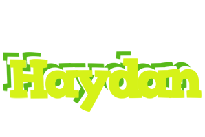 Haydan citrus logo