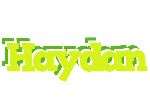Haydan citrus logo