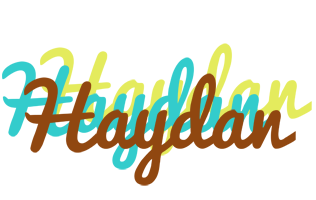 Haydan cupcake logo