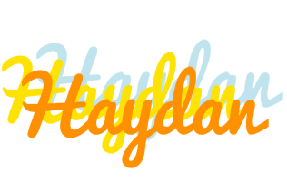 Haydan energy logo